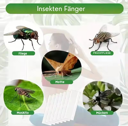 Fliegenfänger Klebepapier